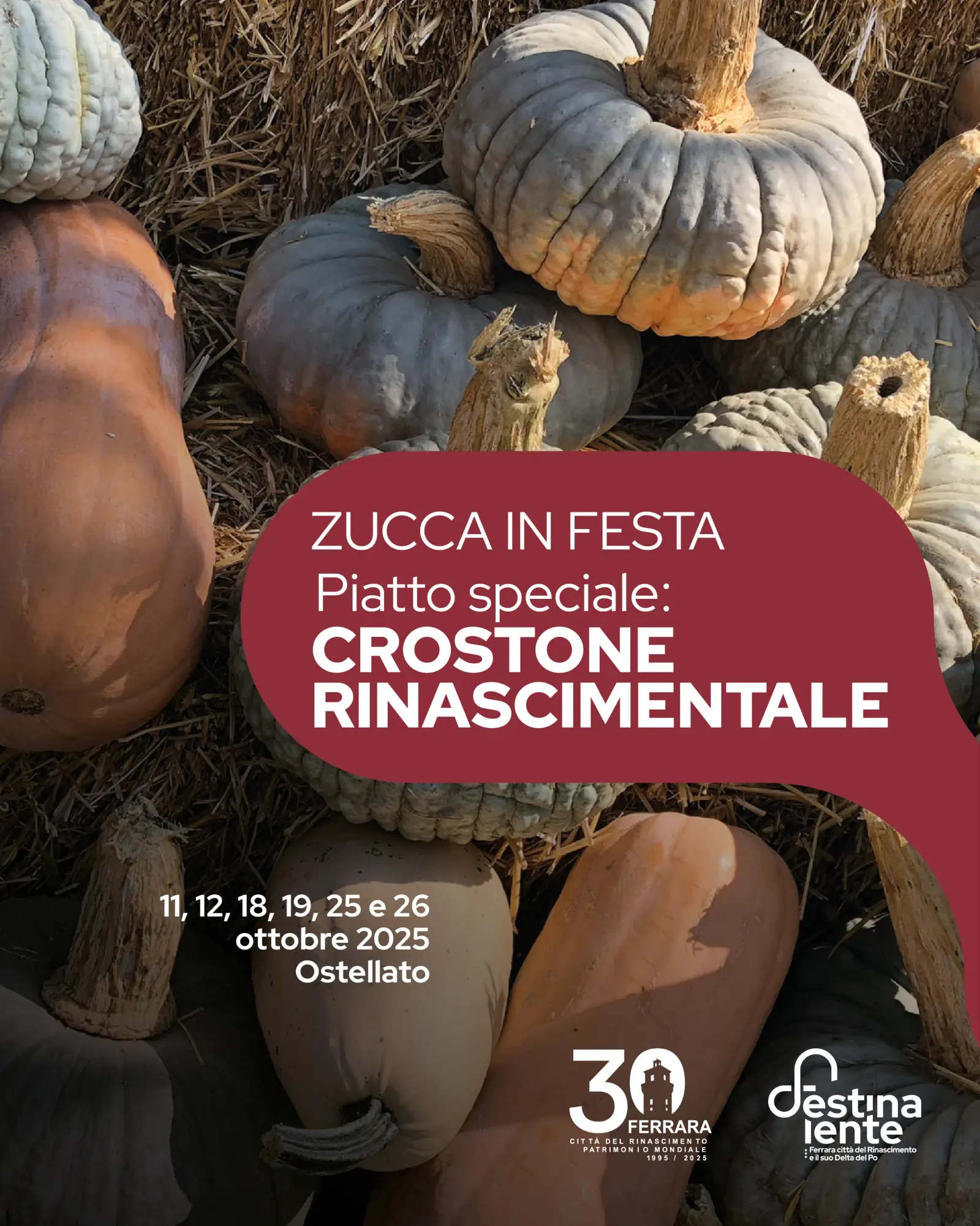 Zucca in Festa