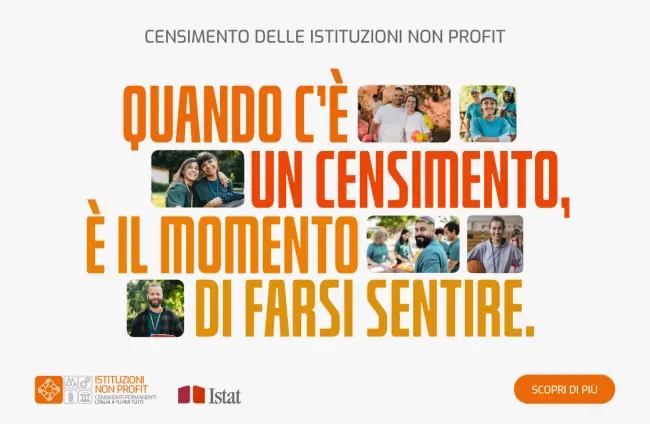 ISTAT - Censimento delle Istituzioni non profit 
