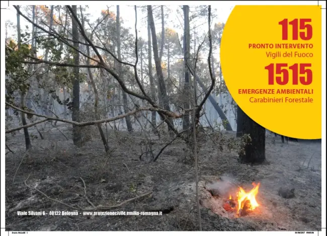 Disposta la proroga della fase di attenzione per gli incendi boschivi