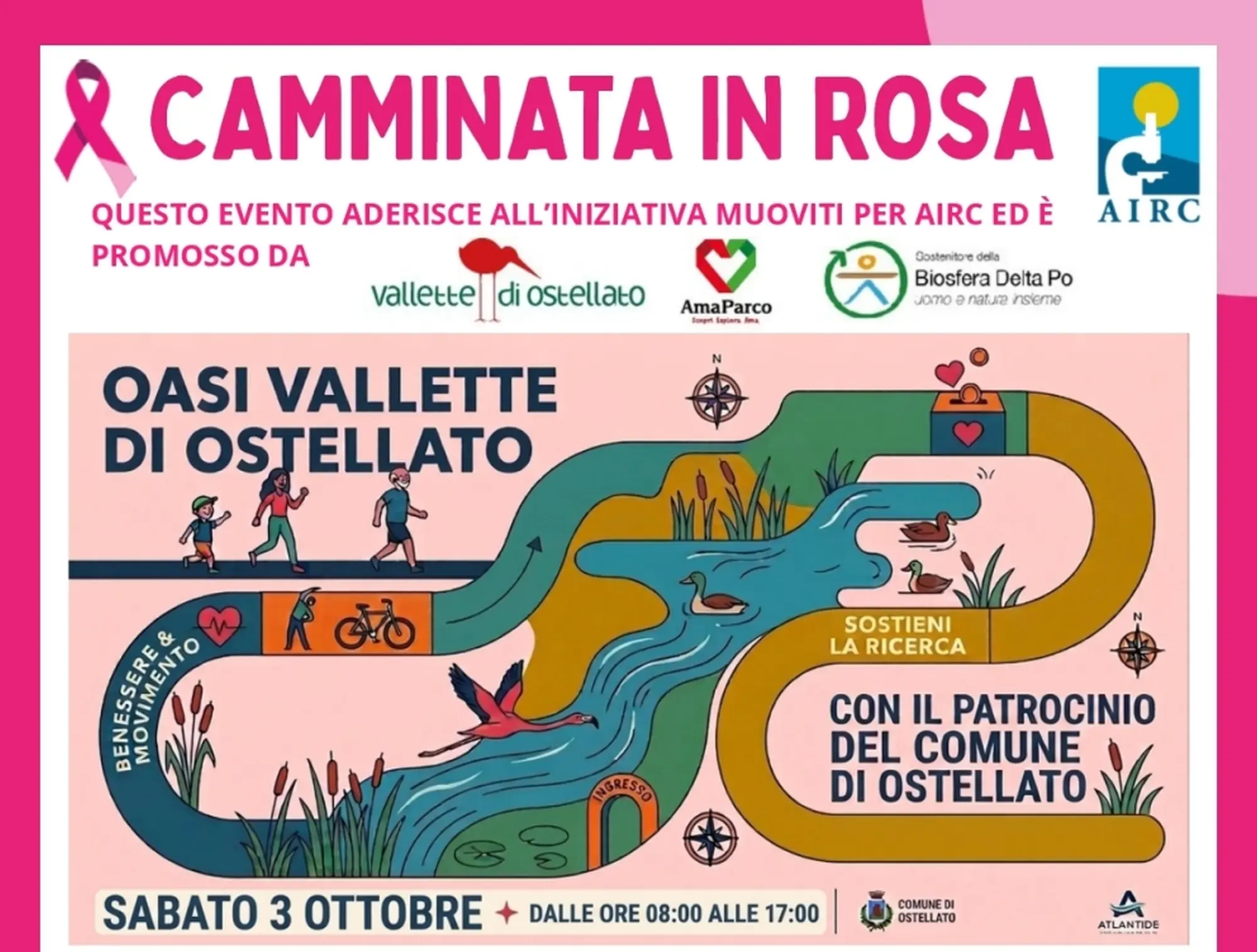 Camminata in rosa