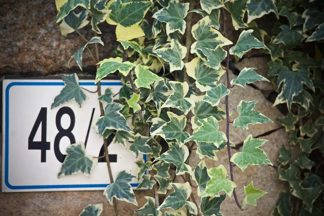 Avviso Misura 1.3.1 | PDND - ANNCSU Numeri Civici